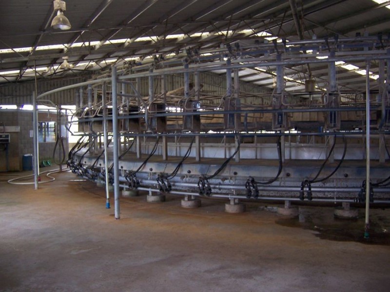 818 Mt McIntyre Road, Mount Mcintyre SA 5279