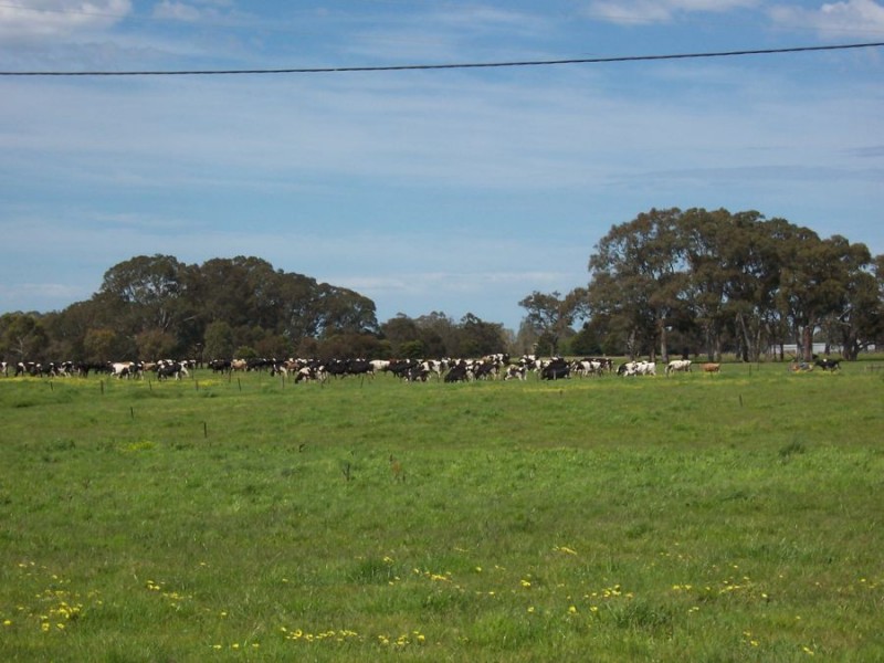 818 Mt McIntyre Road, Mount Mcintyre SA 5279