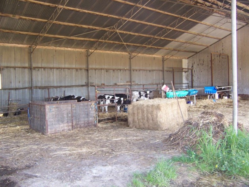 818 Mt McIntyre Road, Mount Mcintyre SA 5279