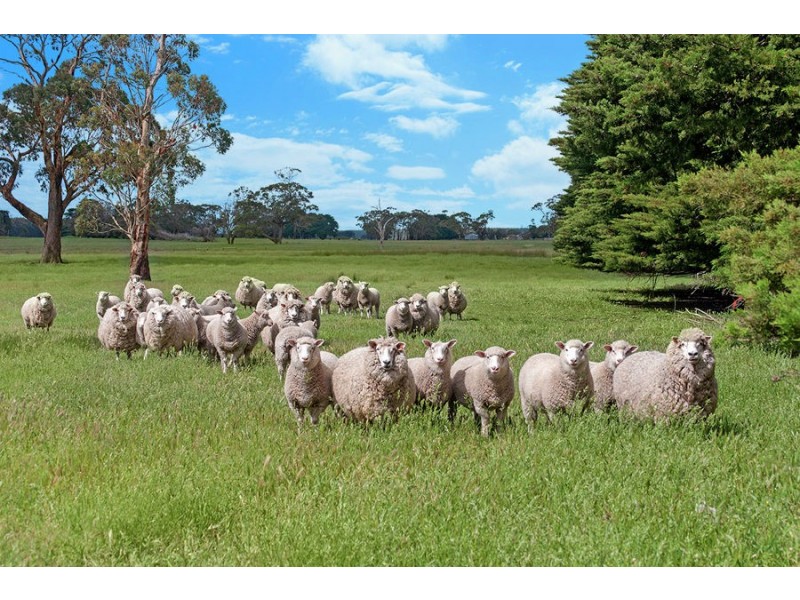 967 Portland Road, Bessiebelle VIC 3304