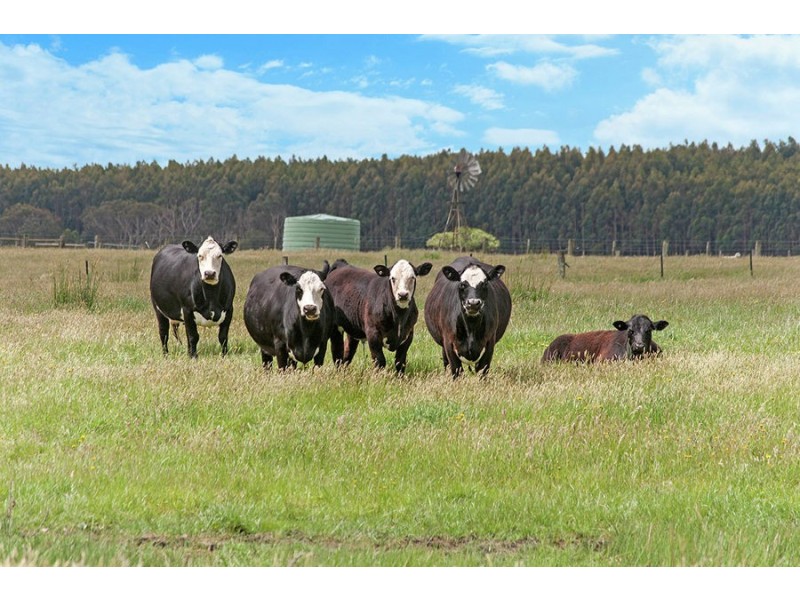 967 Portland Road, Bessiebelle VIC 3304