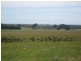 310 Malings Road, Portland VIC 3305