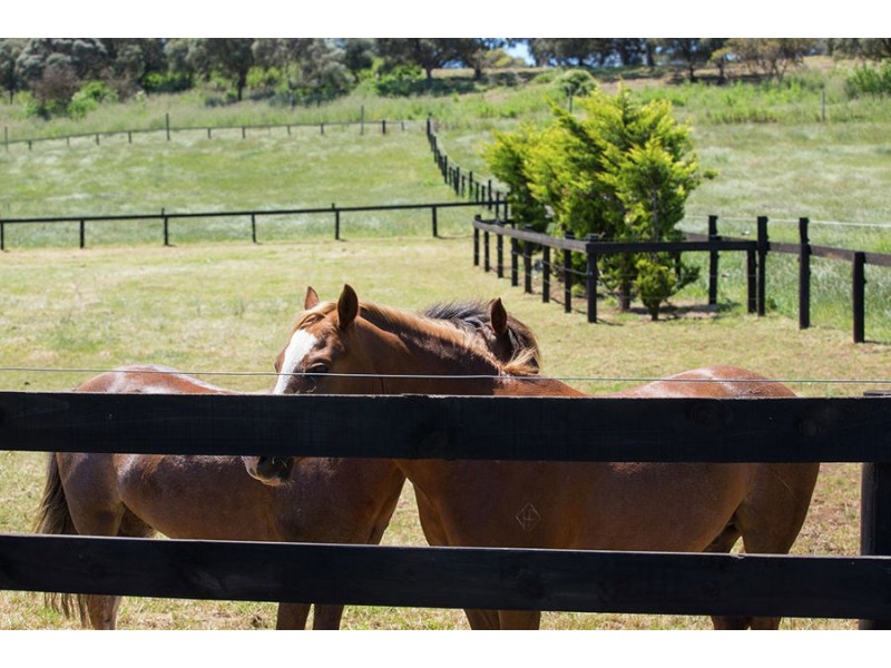 852 Princes Highway, Tower Hill VIC 3283