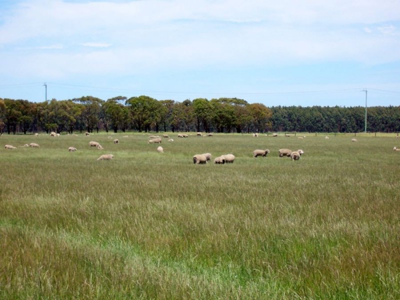 683 Henshaws Road, St Helens VIC 3285