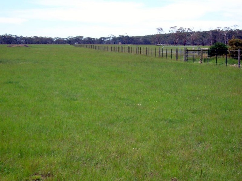 683 Henshaws Road, St Helens VIC 3285