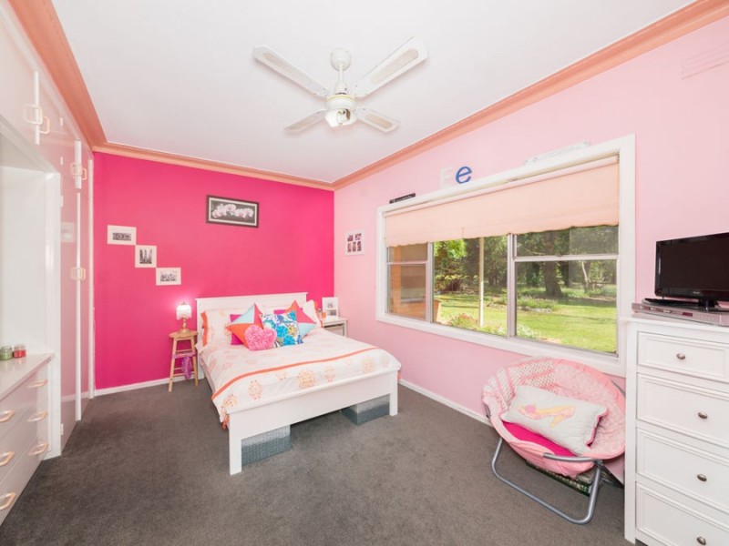 543 Terang – Framlingham Road, Terang VIC 3264