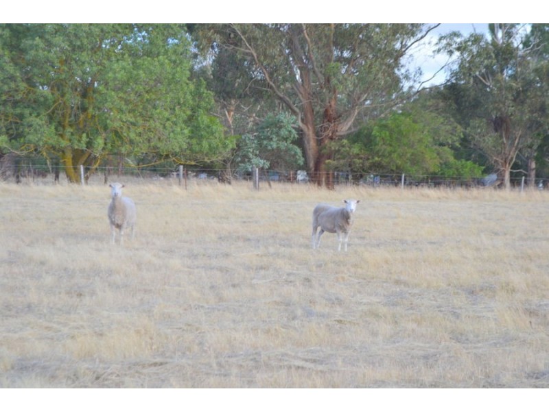 1 Terang Mortlake Road, Mortlake VIC 3272