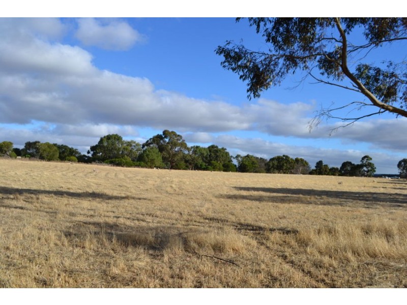 1 Terang Mortlake Road, Mortlake VIC 3272