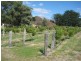 40 Moyne Falls – Hawkesdale Road, Hawkesdale VIC 3287