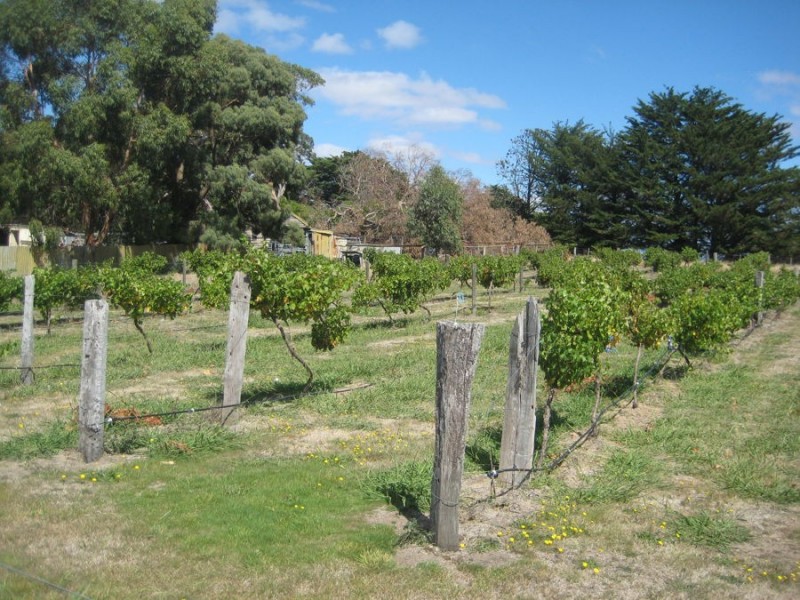 40 Moyne Falls – Hawkesdale Road, Hawkesdale VIC 3287