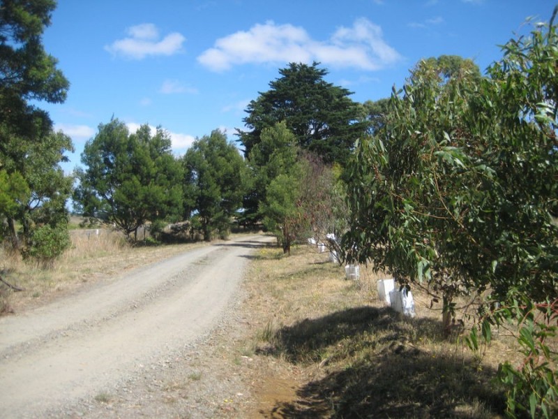 40 Moyne Falls – Hawkesdale Road, Hawkesdale VIC 3287