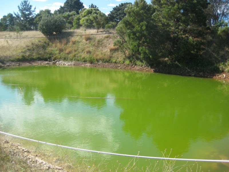 20 Palpara Settlement Road, Mumbannar VIC 3304