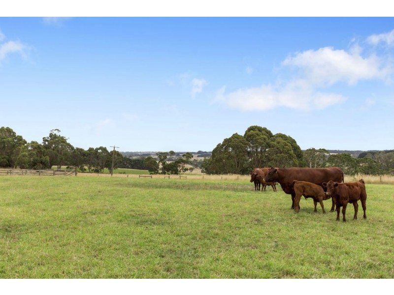 105 Browns Road, Timboon VIC 3268