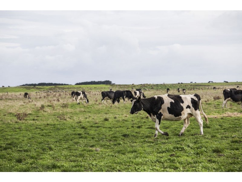 1404 Tarrone Lane, Tarrone VIC 3283