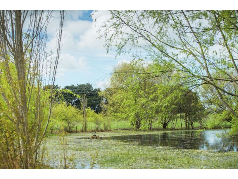 449 Wilton’s Road, Allansford VIC 3277