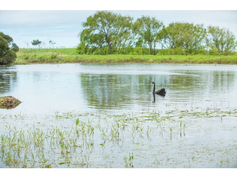 449 Wilton’s Road, Allansford VIC 3277