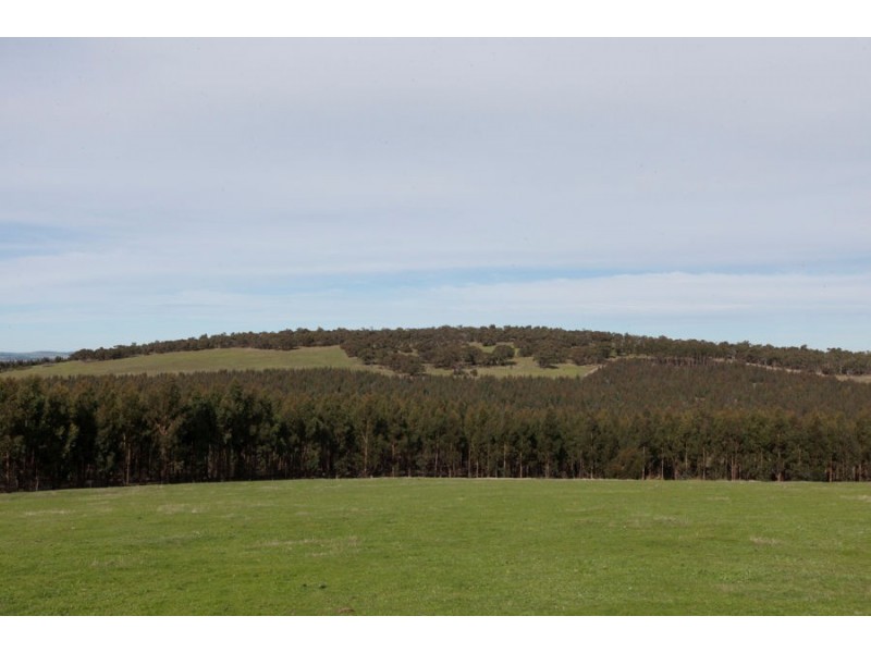 Andrews Lane, Mafeking VIC 3379