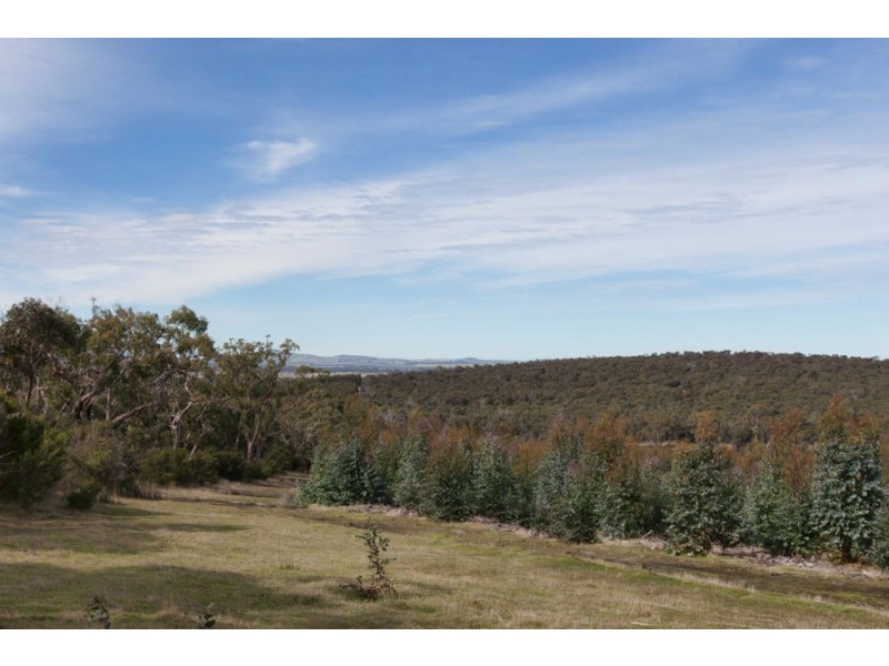 Andrews Lane, Mafeking VIC 3379