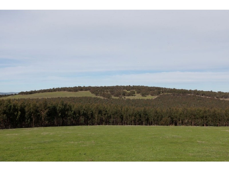 Andrews Lane, Mafeking VIC 3379