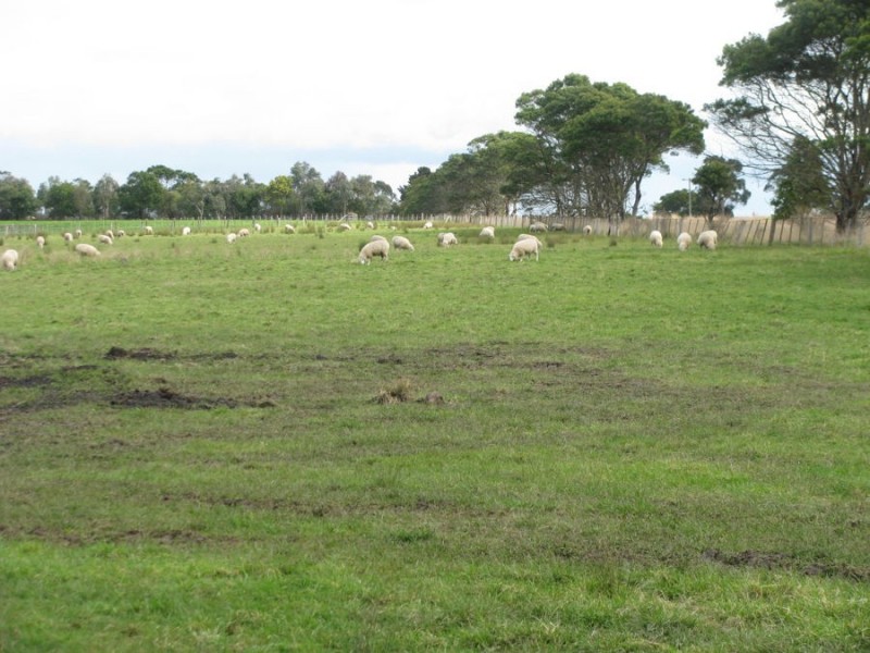 70 Hexham Road, Woolsthorpe VIC 3276