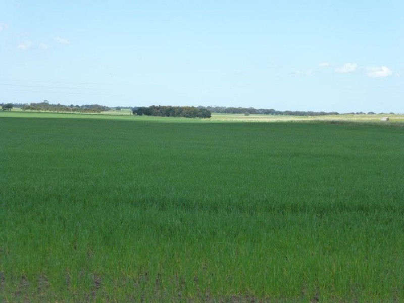 140 Camperdown Road, Larralea VIC 3325