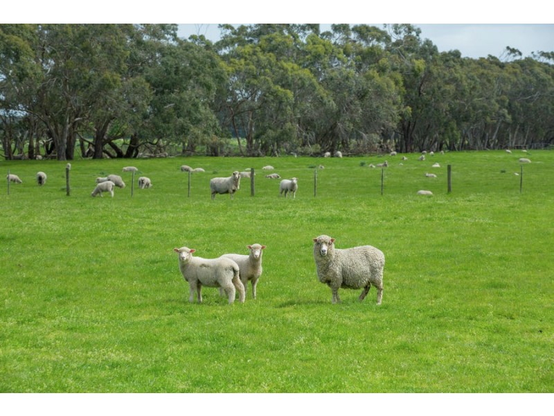 120 Joseph’s Road, Tyrendarra VIC 3285