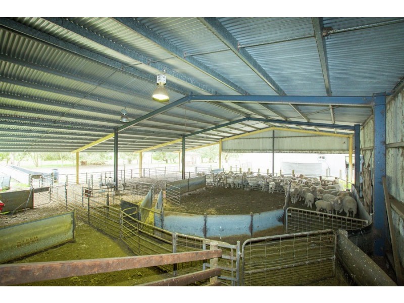 120 Joseph’s Road, Tyrendarra VIC 3285