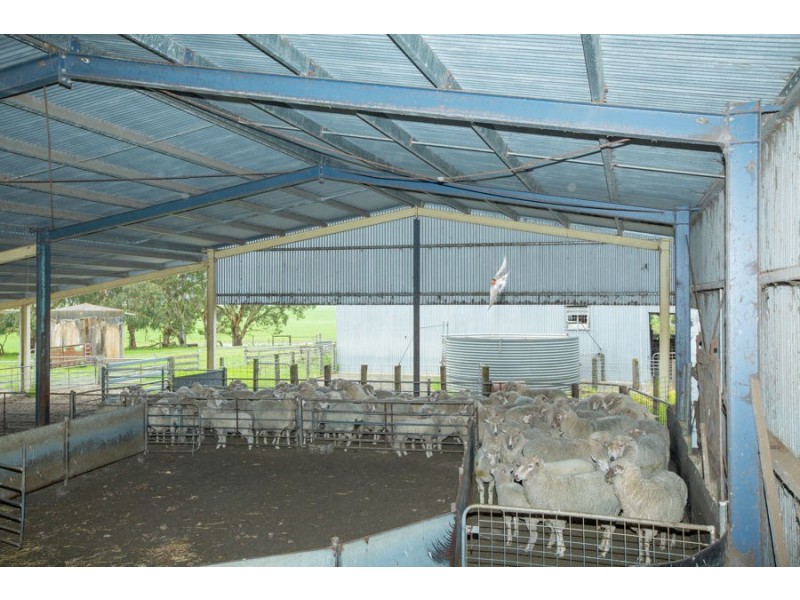 120 Joseph’s Road, Tyrendarra VIC 3285