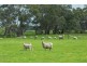 120 Joseph’s Road, Tyrendarra VIC 3285