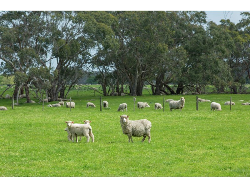 120 Joseph’s Road, Tyrendarra VIC 3285