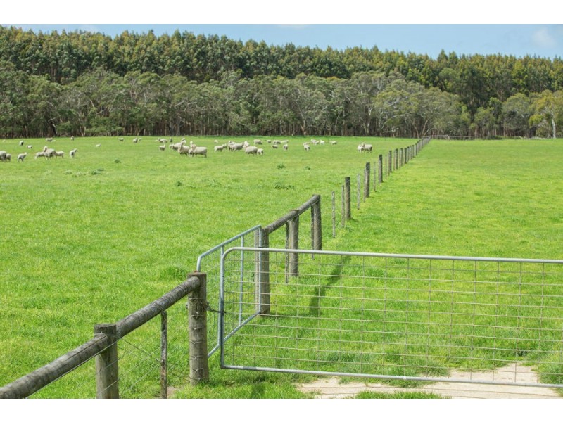120 Joseph’s Road, Tyrendarra VIC 3285
