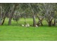 120 Joseph’s Road, Tyrendarra VIC 3285