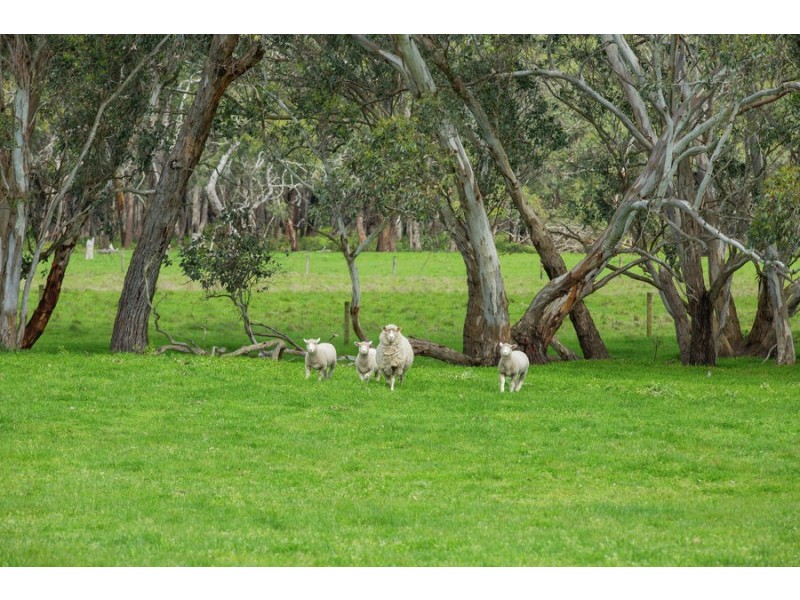 120 Joseph’s Road, Tyrendarra VIC 3285