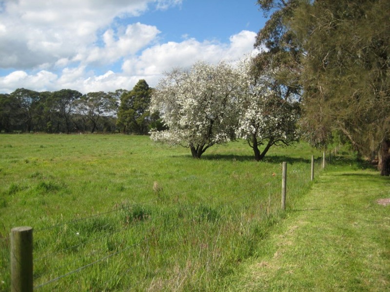 513 Haines Lane, Heywood VIC 3304