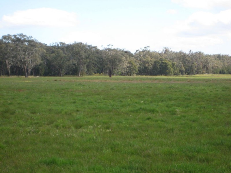 513 Haines Lane, Heywood VIC 3304