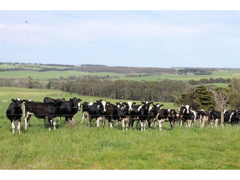 175 Bornong Road, Cooriemungle VIC 3268