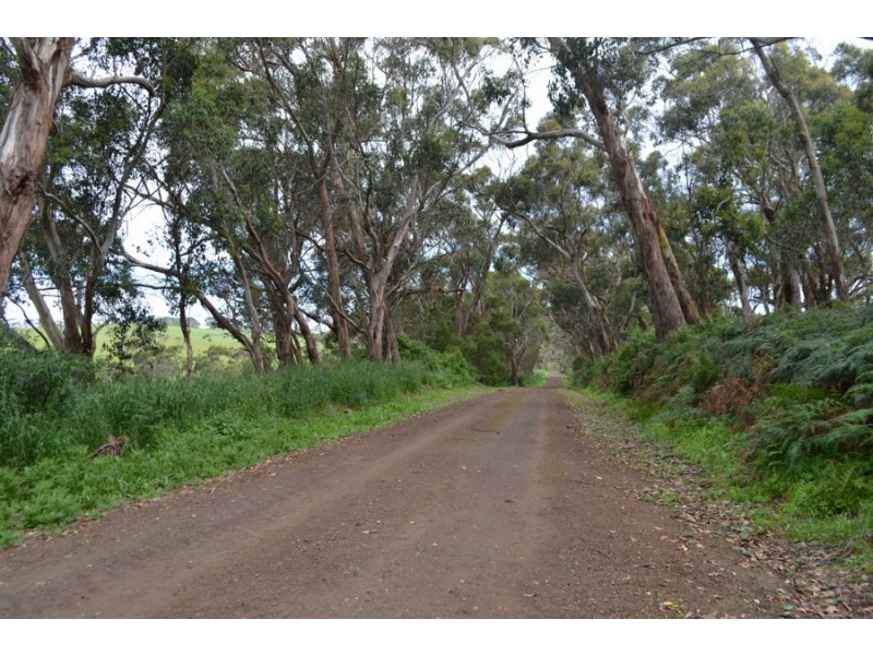 1 Shurvells Road South, Scotts Creek VIC 3267