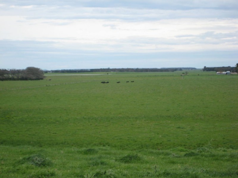 Lots 2 & 3 131 Pound lane, Mortlake VIC 3272