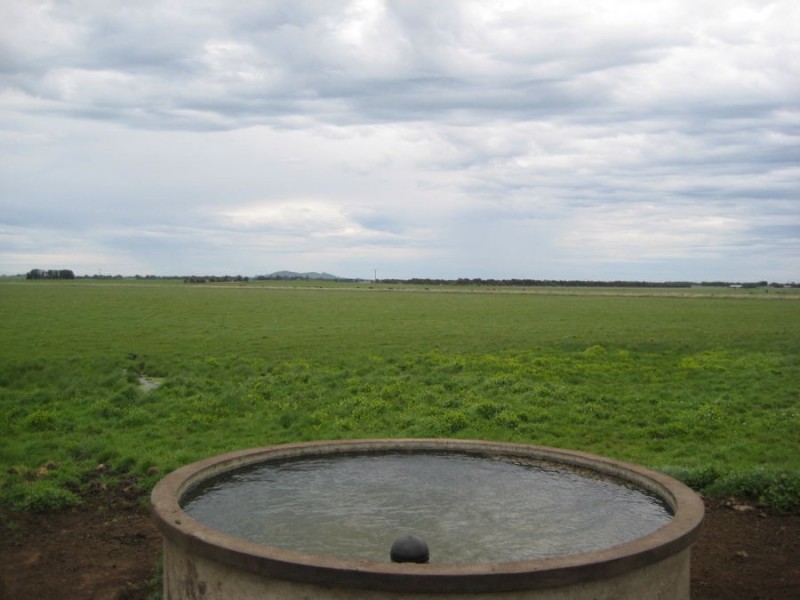 Lots 2 & 3 131 Pound lane, Mortlake VIC 3272