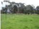 Lots 2 & 3 131 Pound lane, Mortlake VIC 3272
