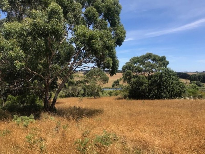 1652 Timboon-Curdievale Road, Curdie Vale VIC 3268