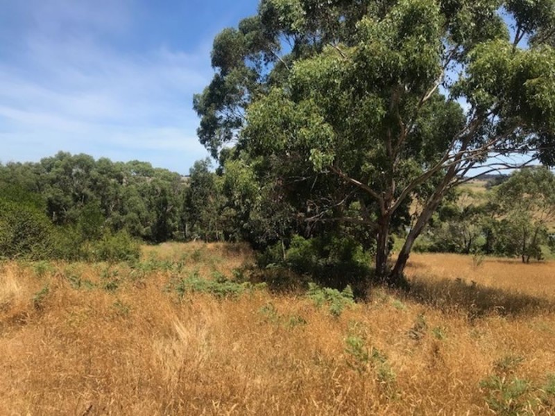 1652 Timboon-Curdievale Road, Curdie Vale VIC 3268