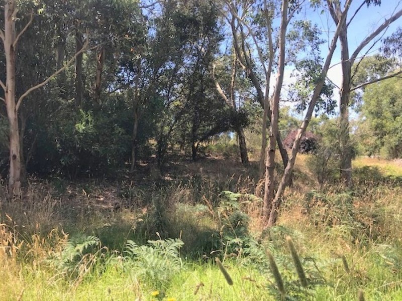1652 Timboon-Curdievale Road, Curdie Vale VIC 3268