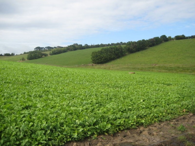 102 Gleeson’s Lane, Purnim VIC 3278