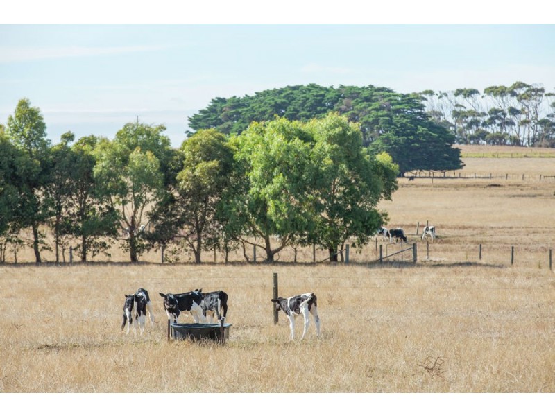 440 Wangoom Road, Warrnambool VIC 3280