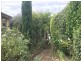 52 Crawley Street, Warrnambool VIC 3280