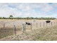 109 Staywood Road, Warrnambool VIC 3280