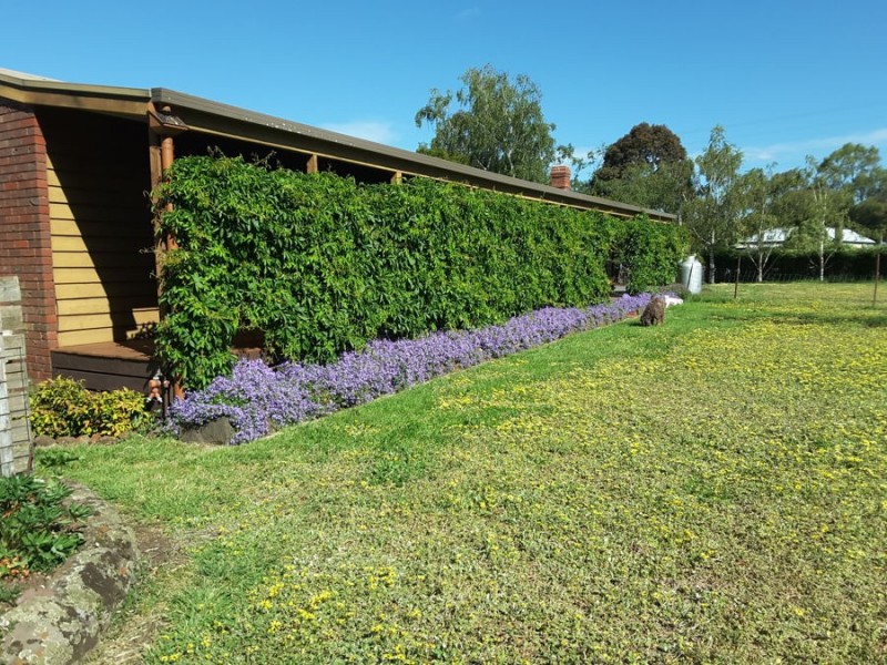 124-128 Cox St, Penshurst VIC 3289