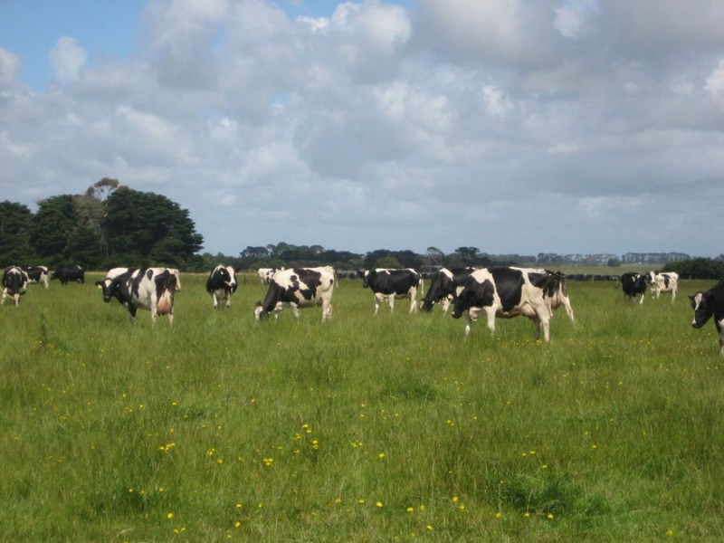 Lot 2 Bryan O’Lynn Road, Purnim VIC 3278