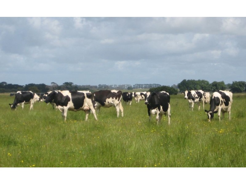 Lot 2 Bryan O’Lynn Road, Purnim VIC 3278